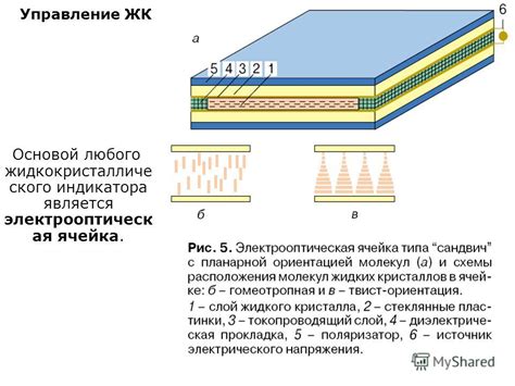 жидкокристаллические индикаторы их управление